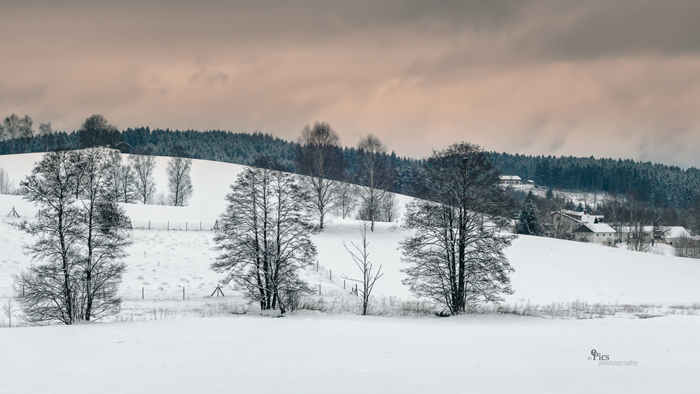 noch mal 20 cm