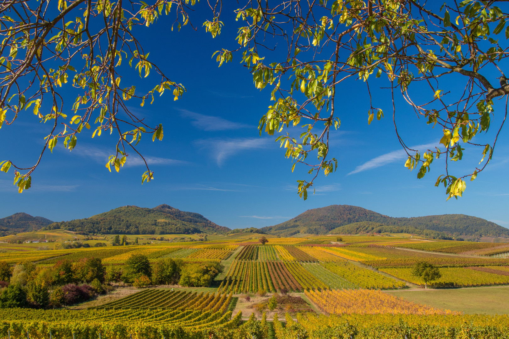 Noch mal den Herbst geniessen