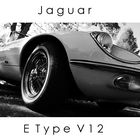 Noch mal der E Type V 12