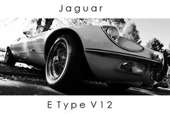 Noch mal der E Type V 12