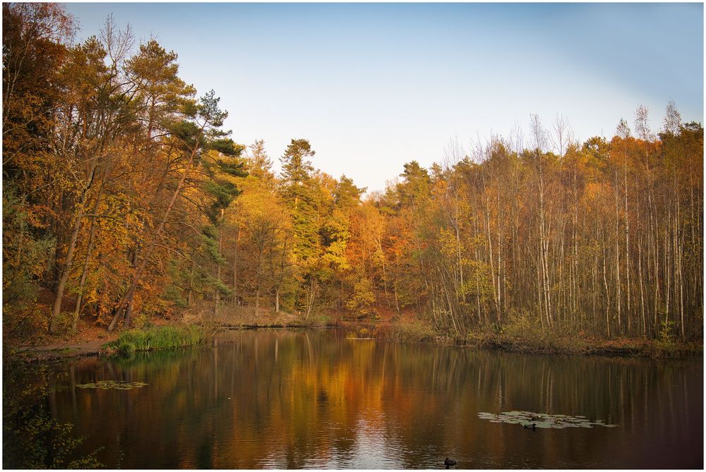 noch mal der Karpfenteich