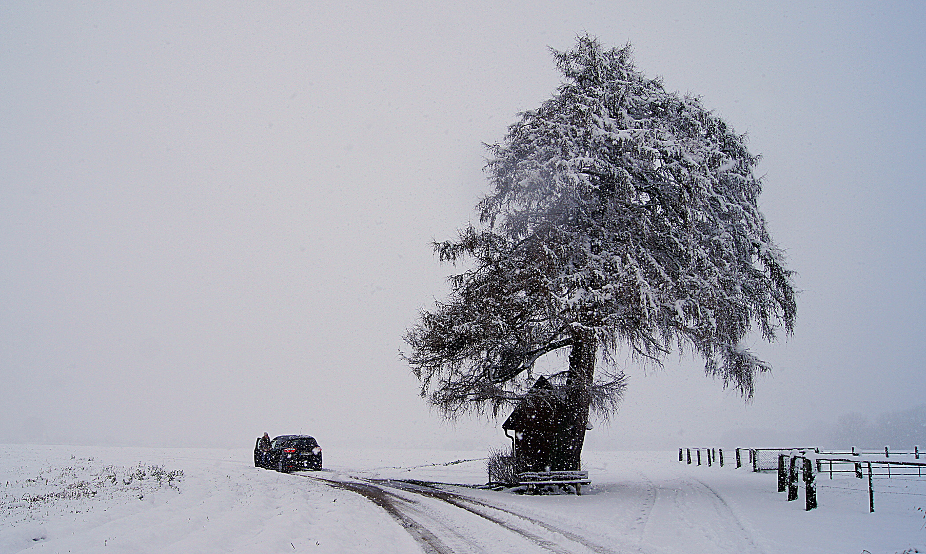 noch mal die verschneite Kapelle mit dem ganzen Baum...