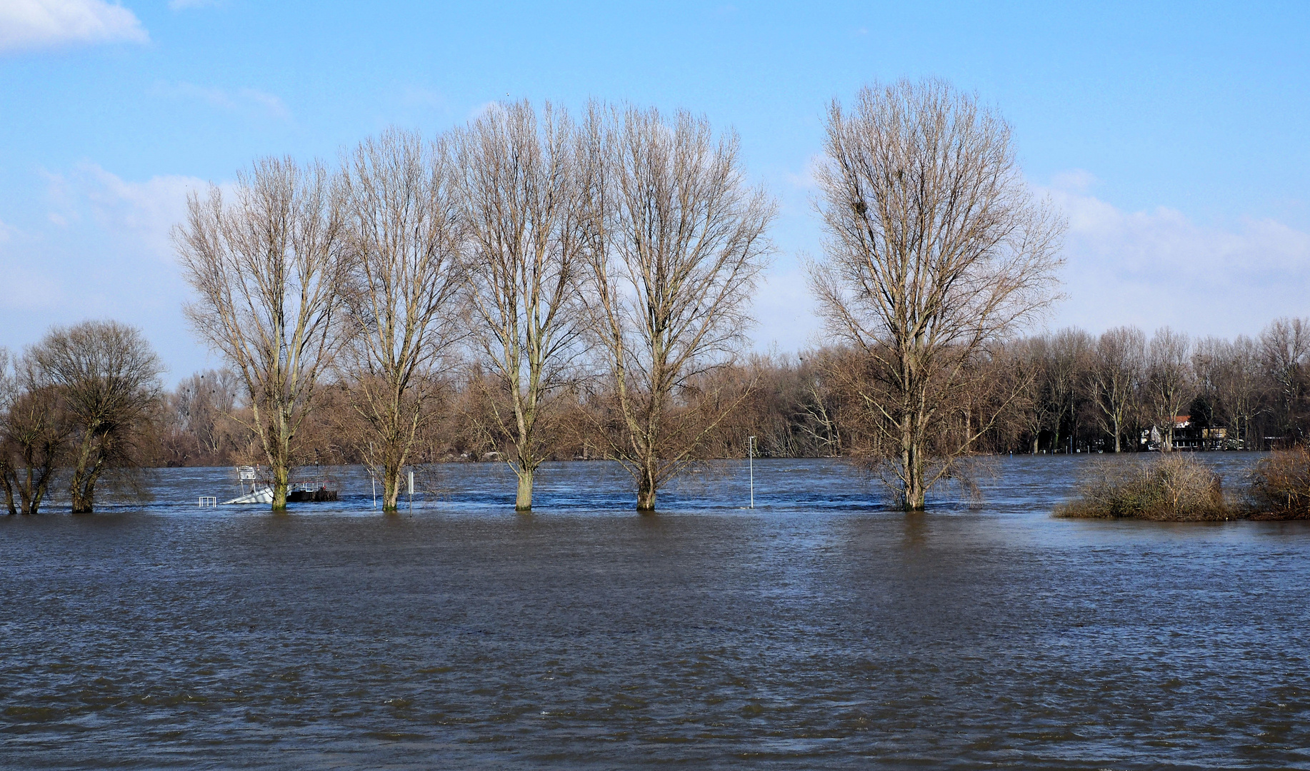 Noch mal eine Hochwasser Impression...