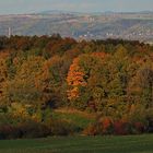 Noch mal goldener Herbst und der Blick auf die Anhöhen...