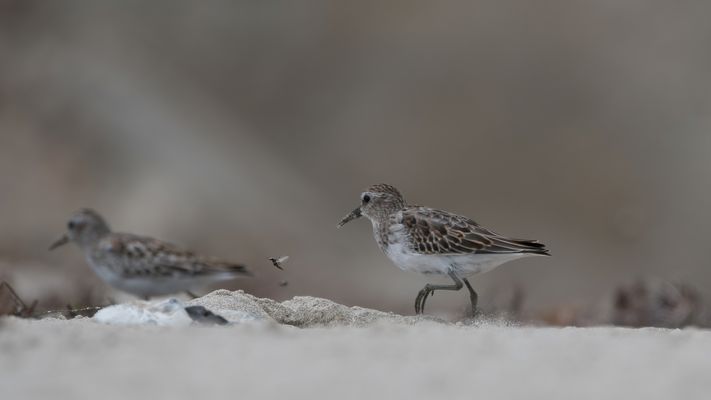 ...noch mal gutgegangen