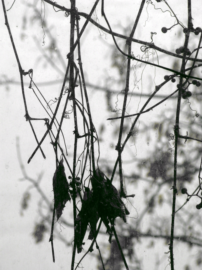 Noch mal Herbst