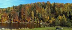 Noch mal im bunten Herbstkleid zeigte sich gestern der Speicher für die Müglitz...