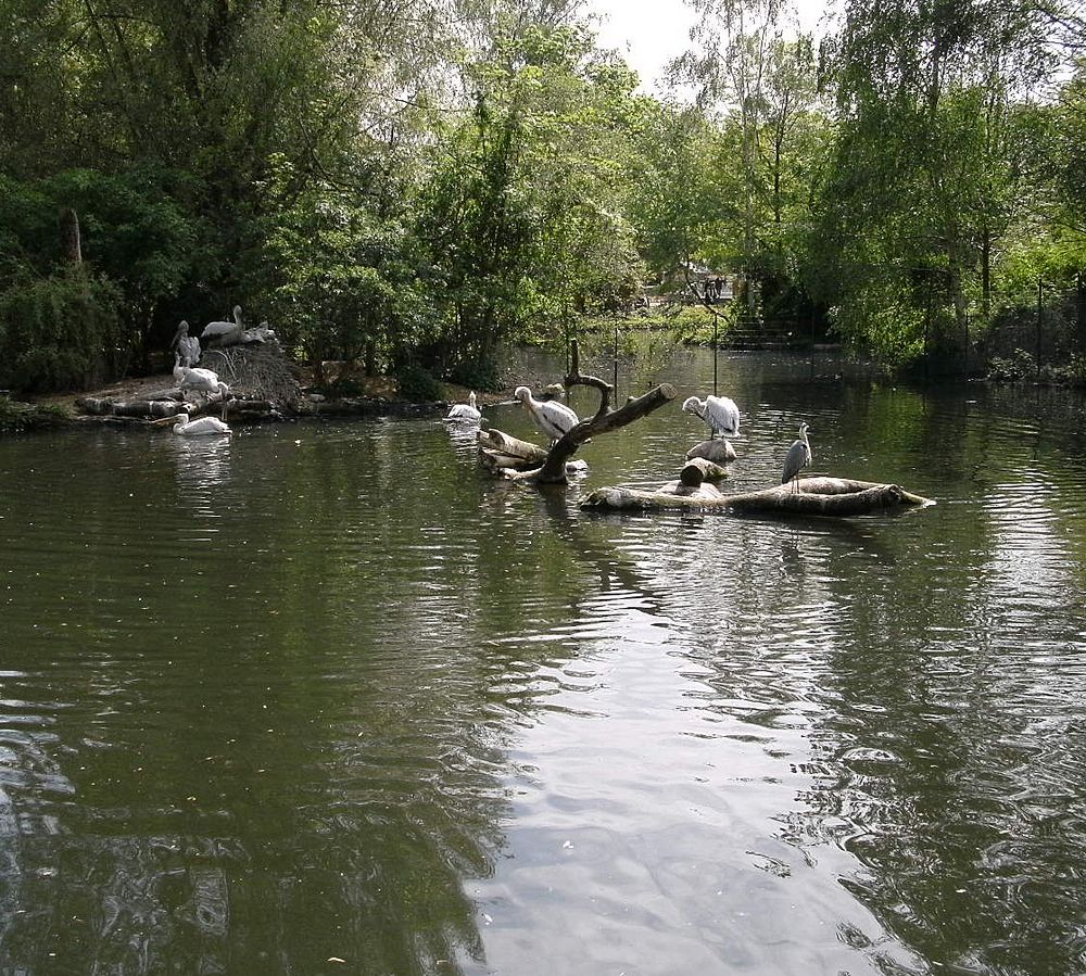 Noch mal in Bild aus dem Leipziger Zoo