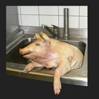 noch mal Schwein gehabt.... ;-)