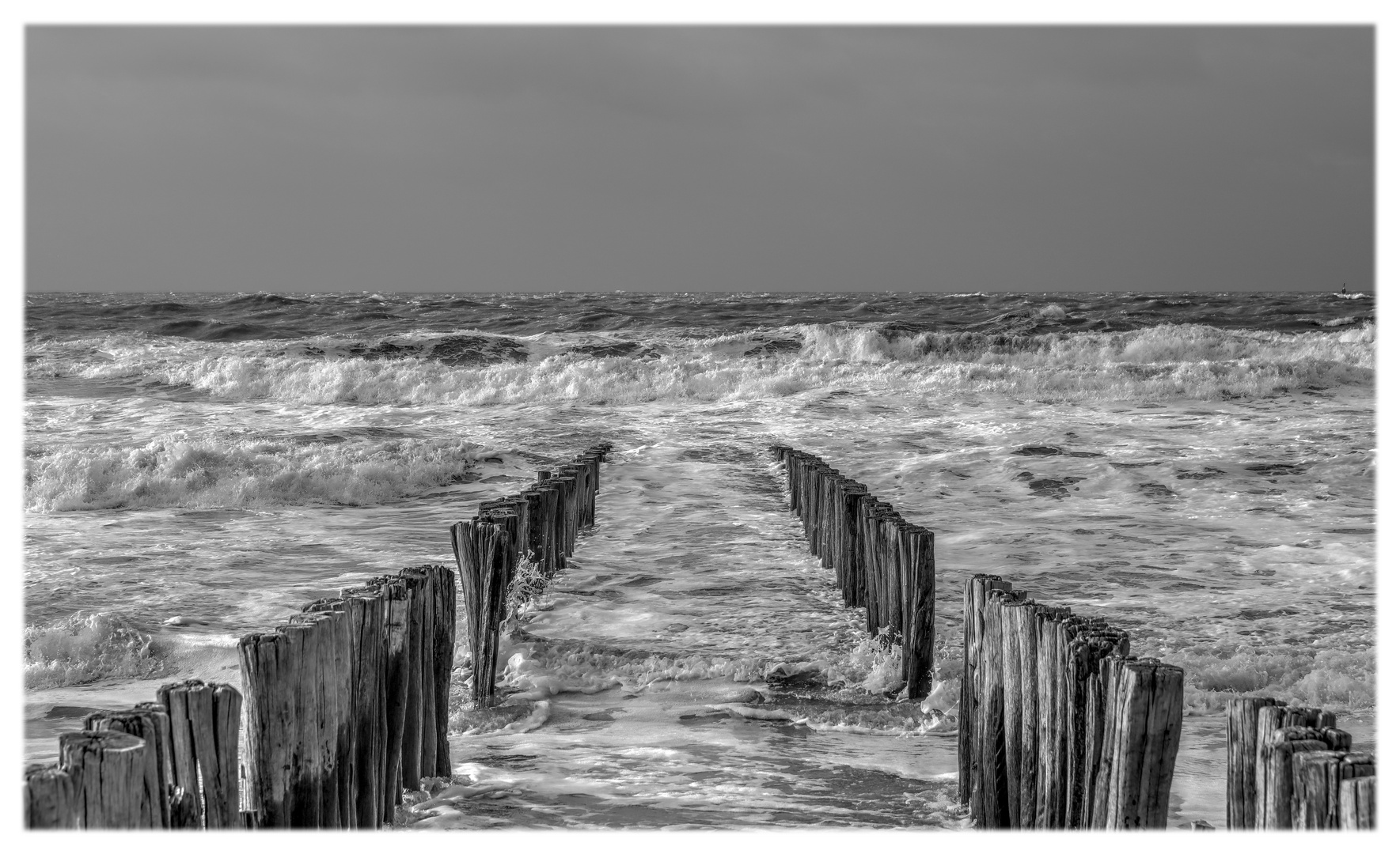 noch Meer schwarzweiß