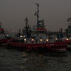 Noch mehr Abendstimmung an der Elbe im Frühling