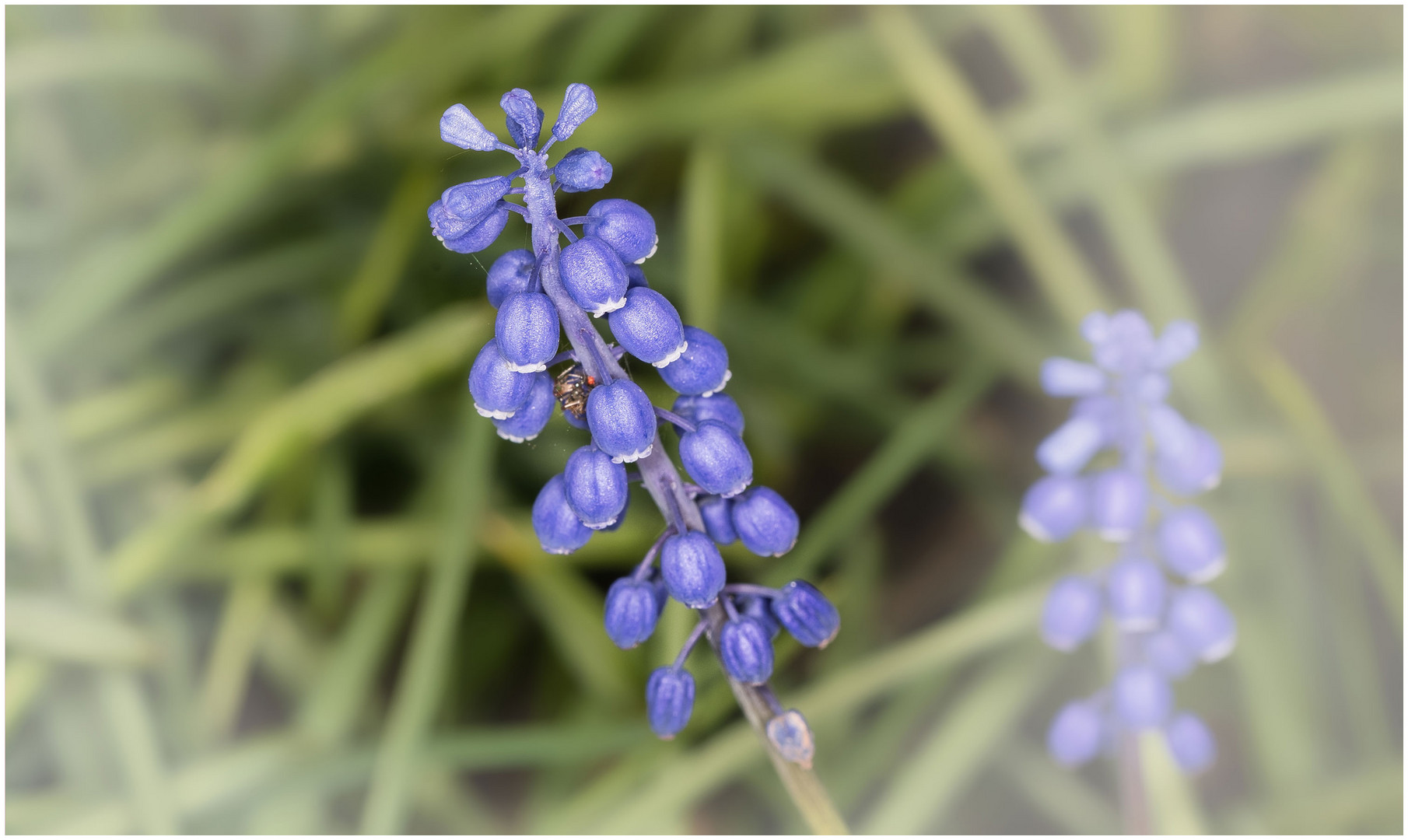 noch mehr blau