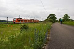 Noch mehr Blümelchen am Wegesrand