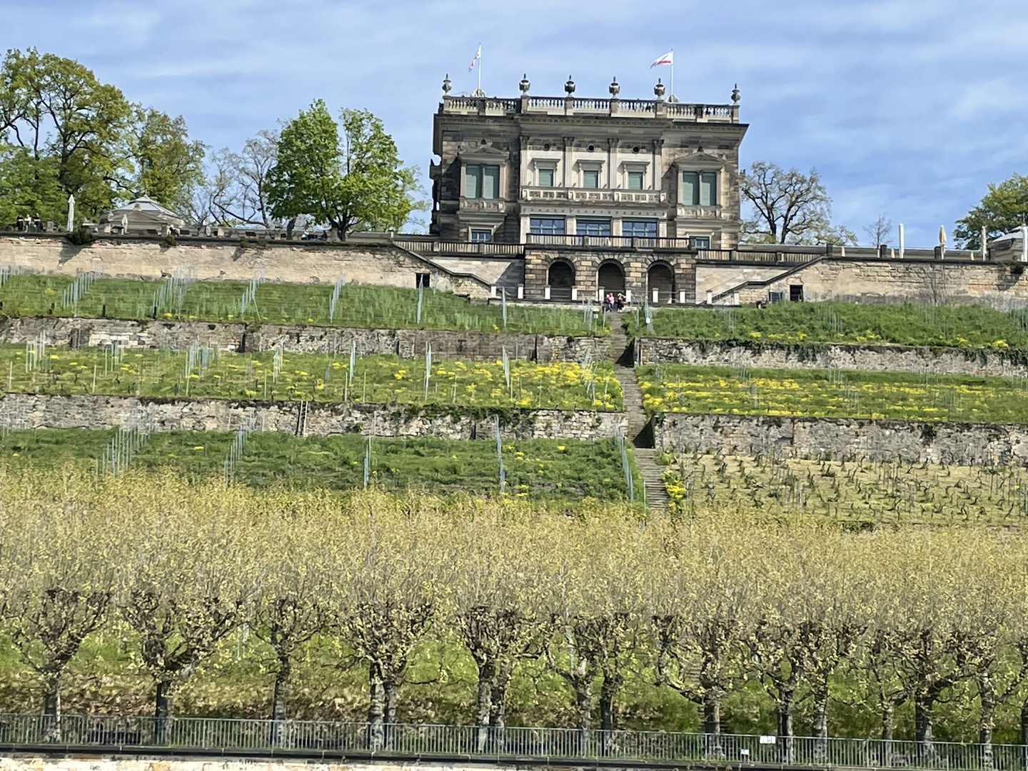 Noch mehr Dresden 