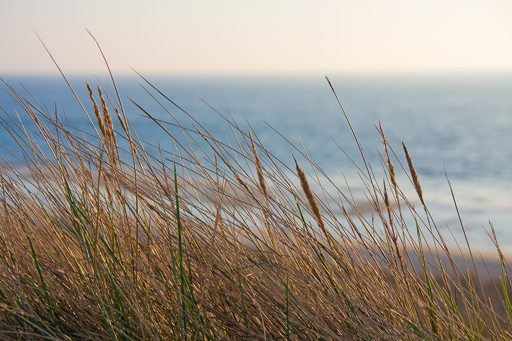 Noch mehr Dünen & Strand bei Wenningstedt auf Sylt