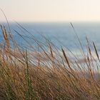 Noch mehr Dünen & Strand bei Wenningstedt auf Sylt