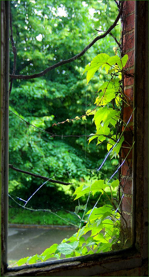 noch mehr Fenster in Beelitz...