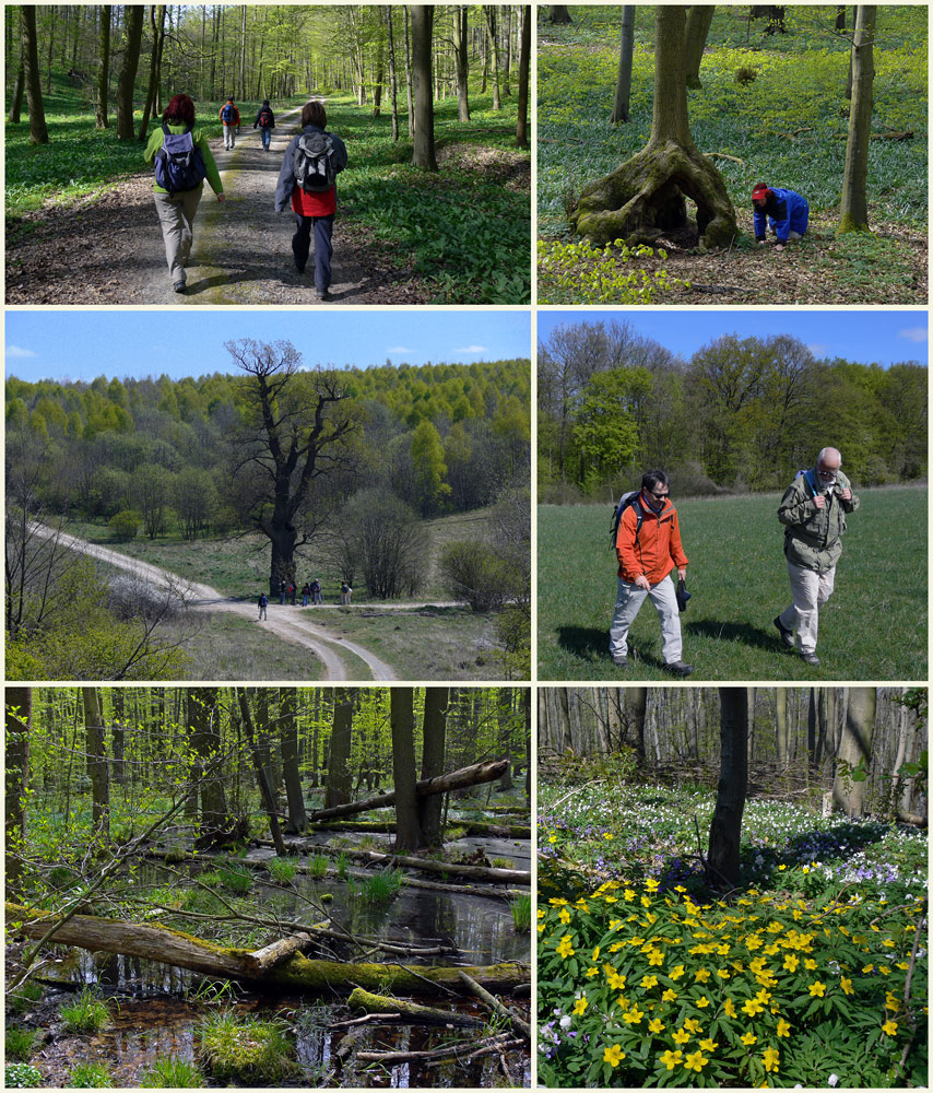 Noch mehr Fotos vom Urwald