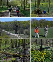 Noch mehr Fotos vom Urwald