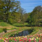 Noch  mehr  Frühling.........