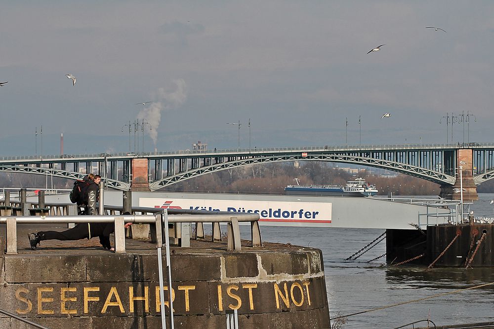 Noch mehr Frühsport am Rheinufer in Mainz