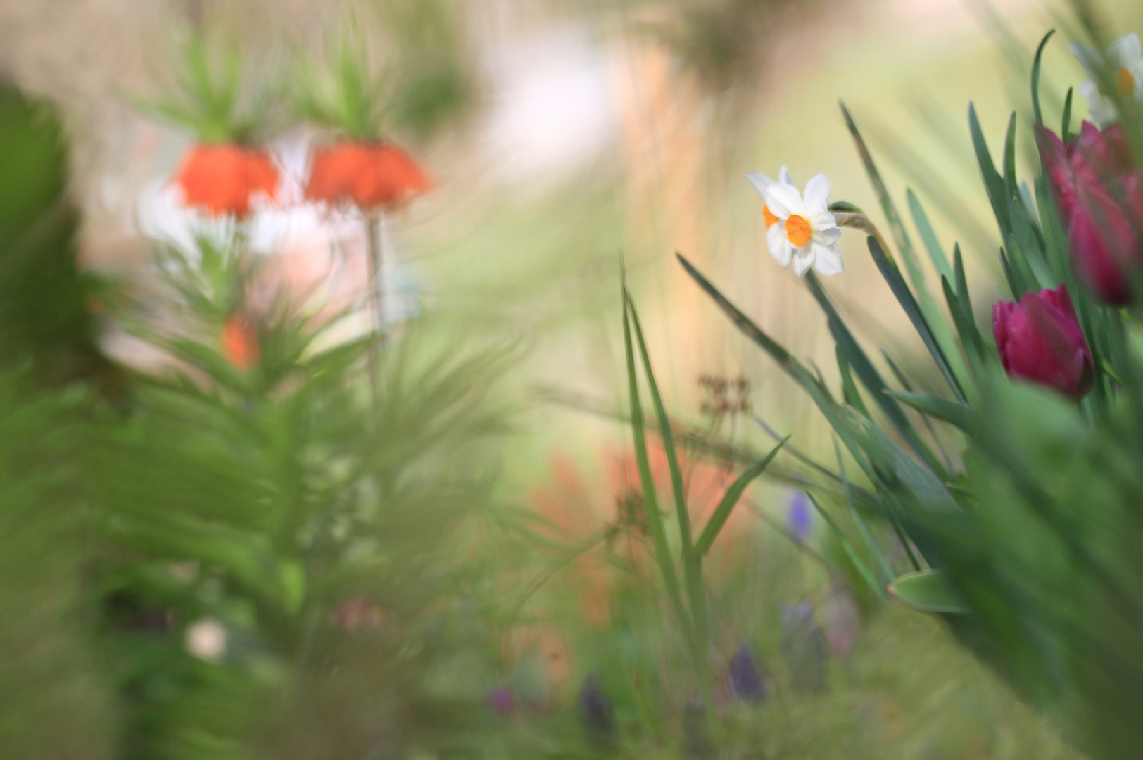 noch mehr Gartengewurstel ;)