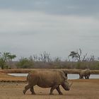 Noch mehr geht nicht   Swasiland