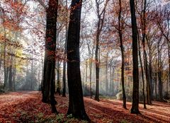 Noch mehr Herbst