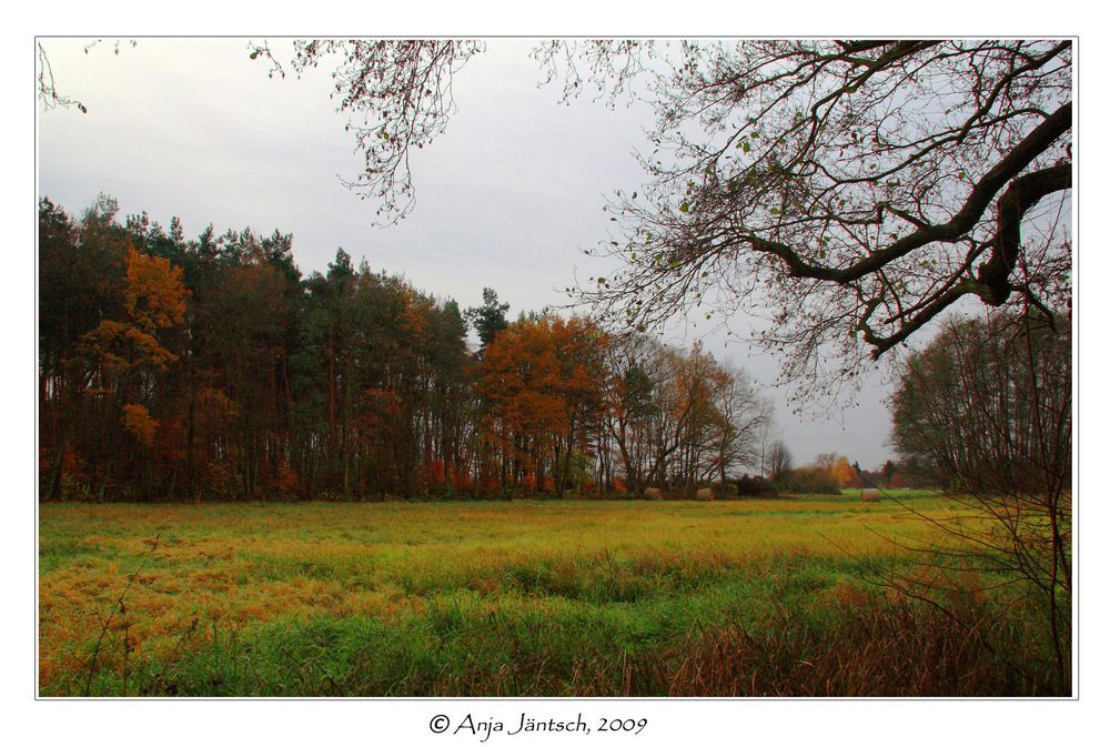 Noch mehr Herbst...