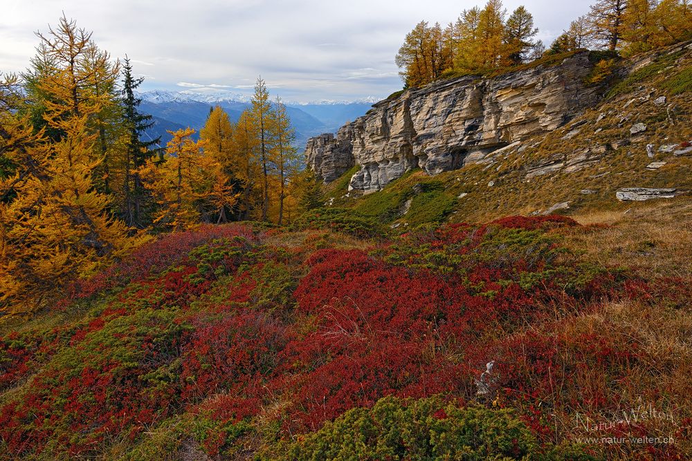 Noch mehr Herbst...