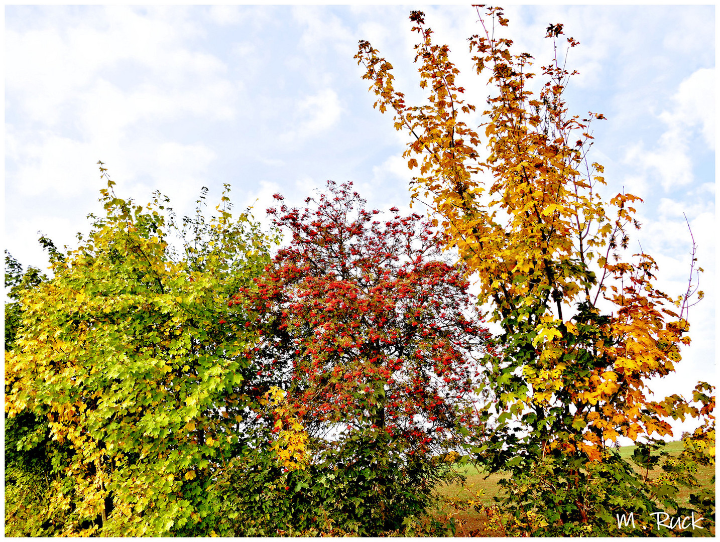 Noch mehr Herbstbuntes ,