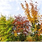 Noch mehr Herbstbuntes ,