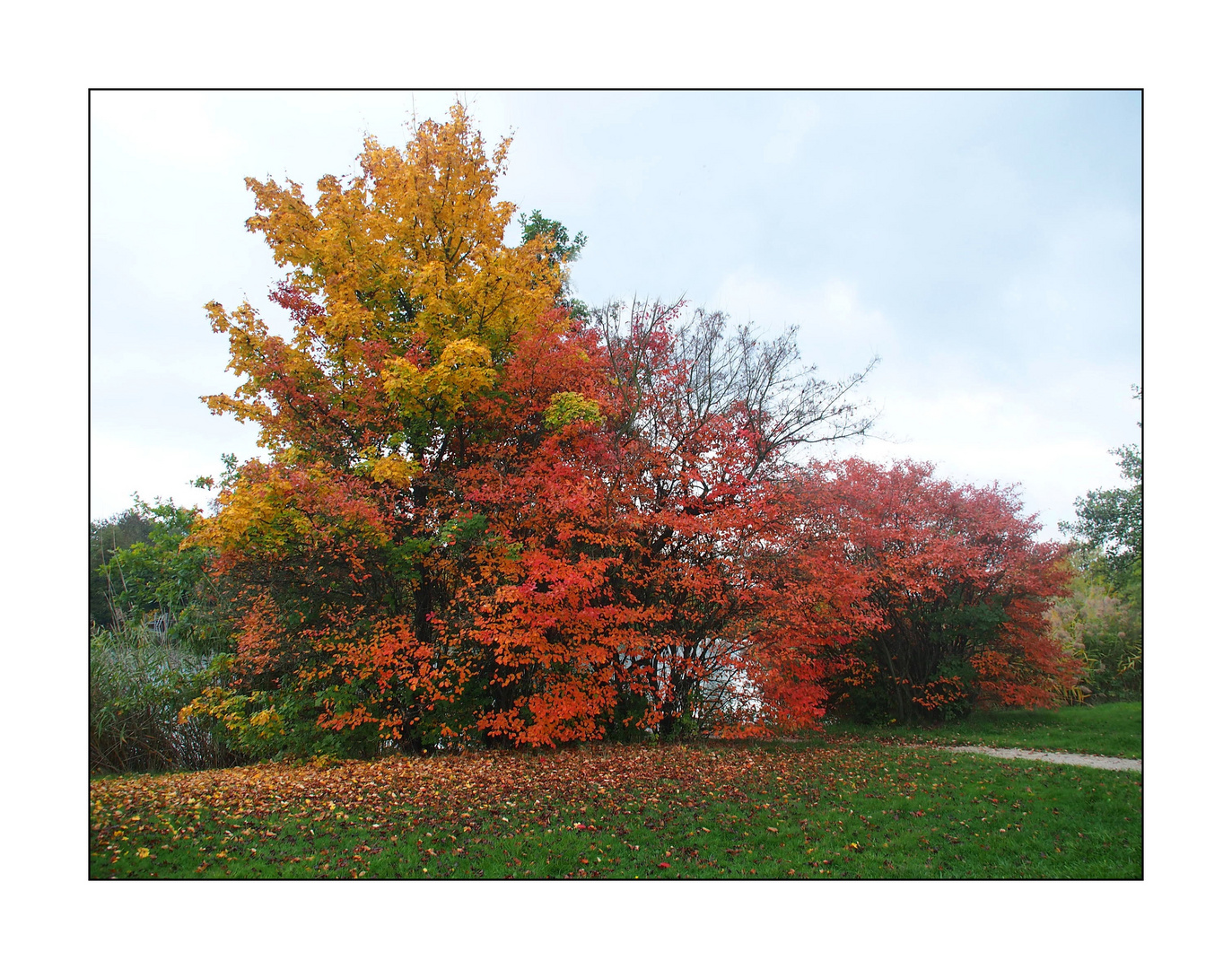 Noch mehr Herbstfarben