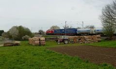 Noch mehr Holz machen