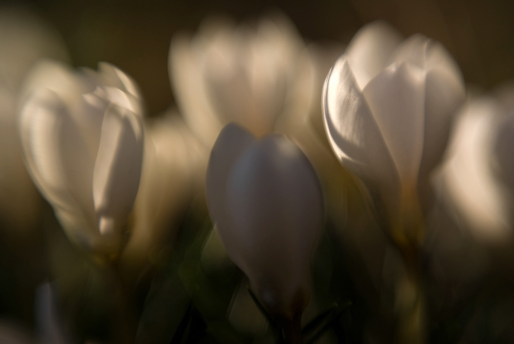 Noch mehr Lichtblicke...