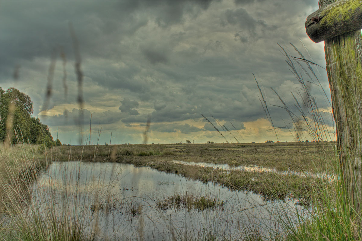 Noch mehr Moor