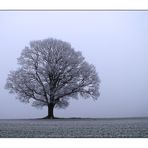 noch mehr Nebel