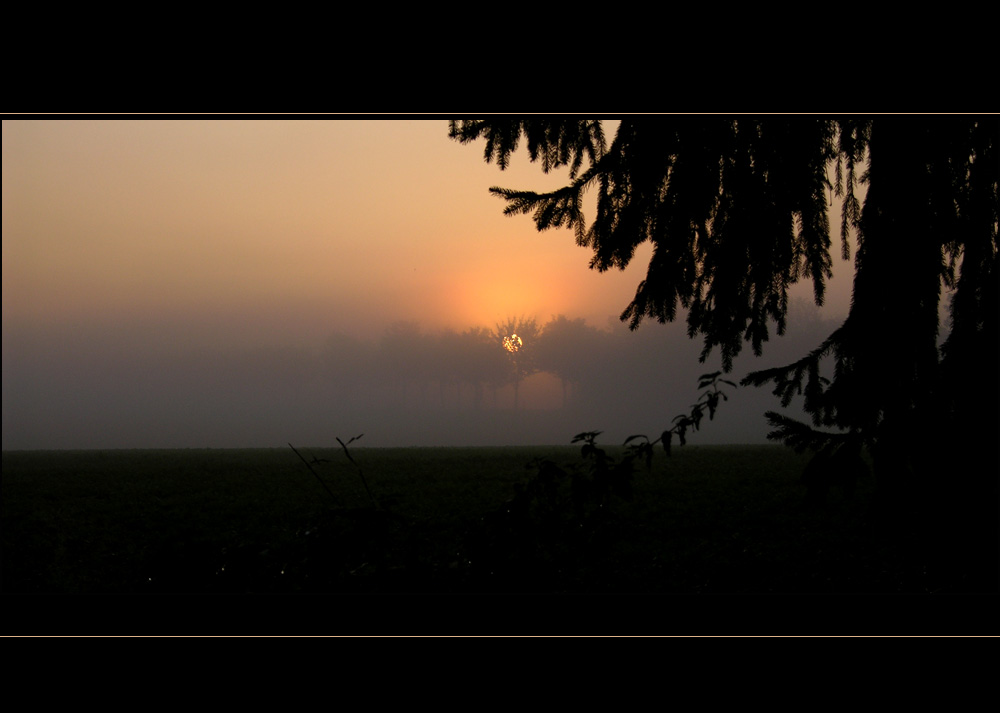 Noch mehr Nebel