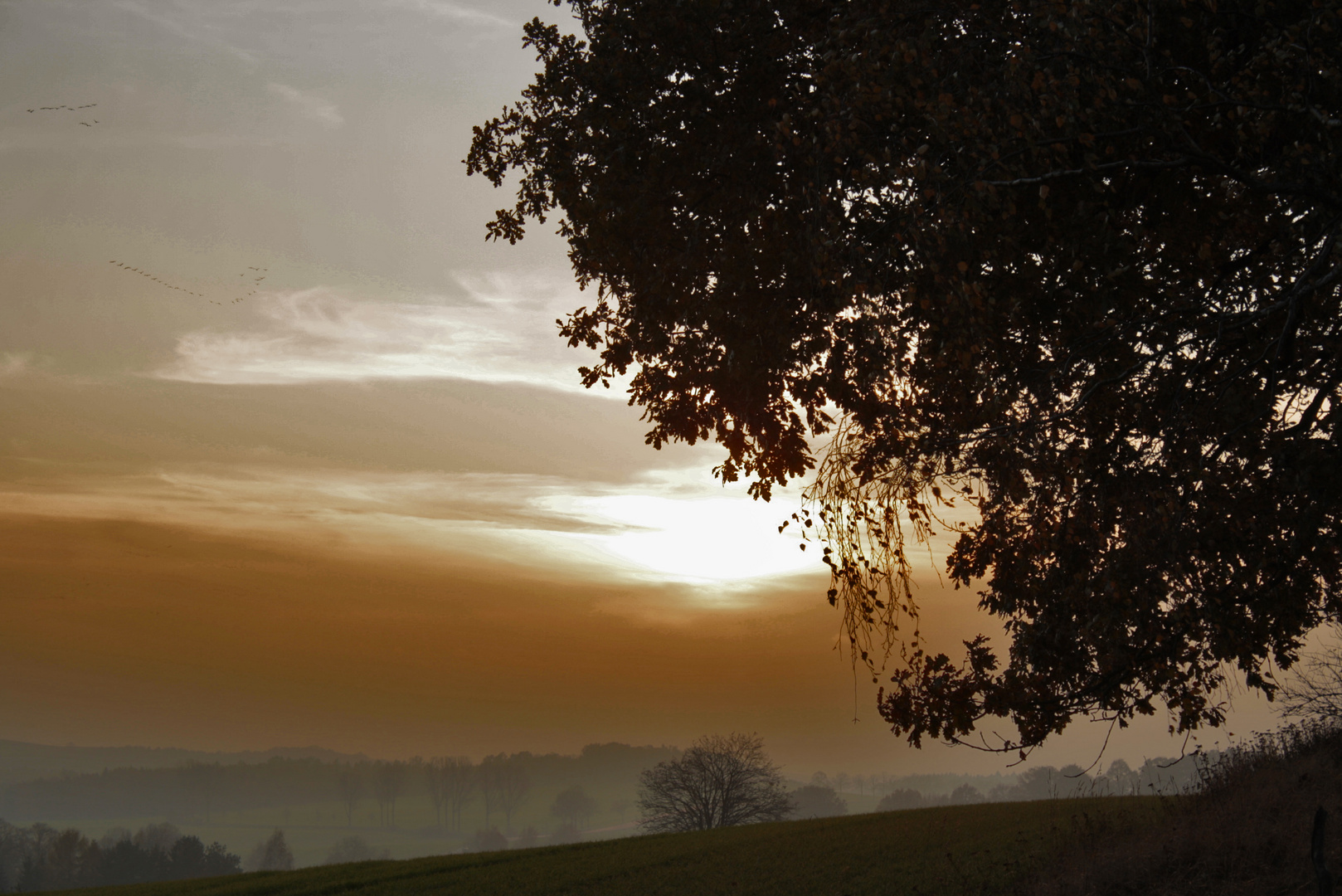 noch mehr november