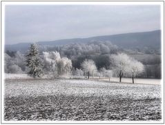 Noch mehr Raureif - Januar/Februar 2023