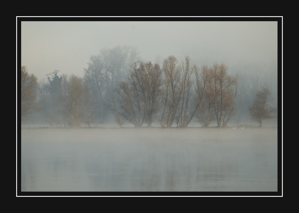 Noch mehr Rhein