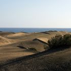 noch mehr Sand - Dünen Las Dunas auf Gran Canaria