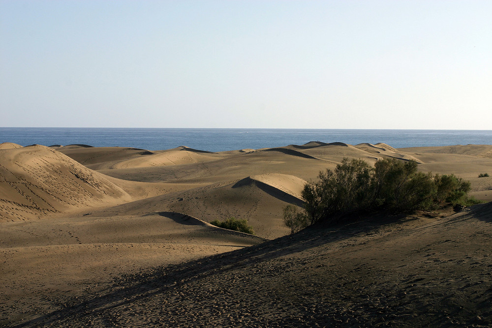 noch mehr Sand - Dünen Las Dunas auf Gran Canaria