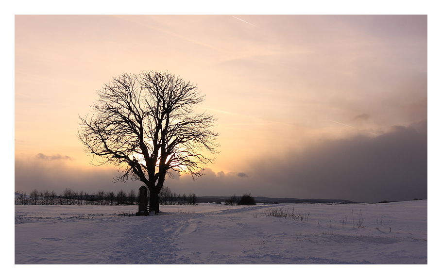 Noch mehr Schnee