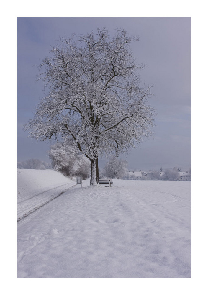 noch mehr Schnee