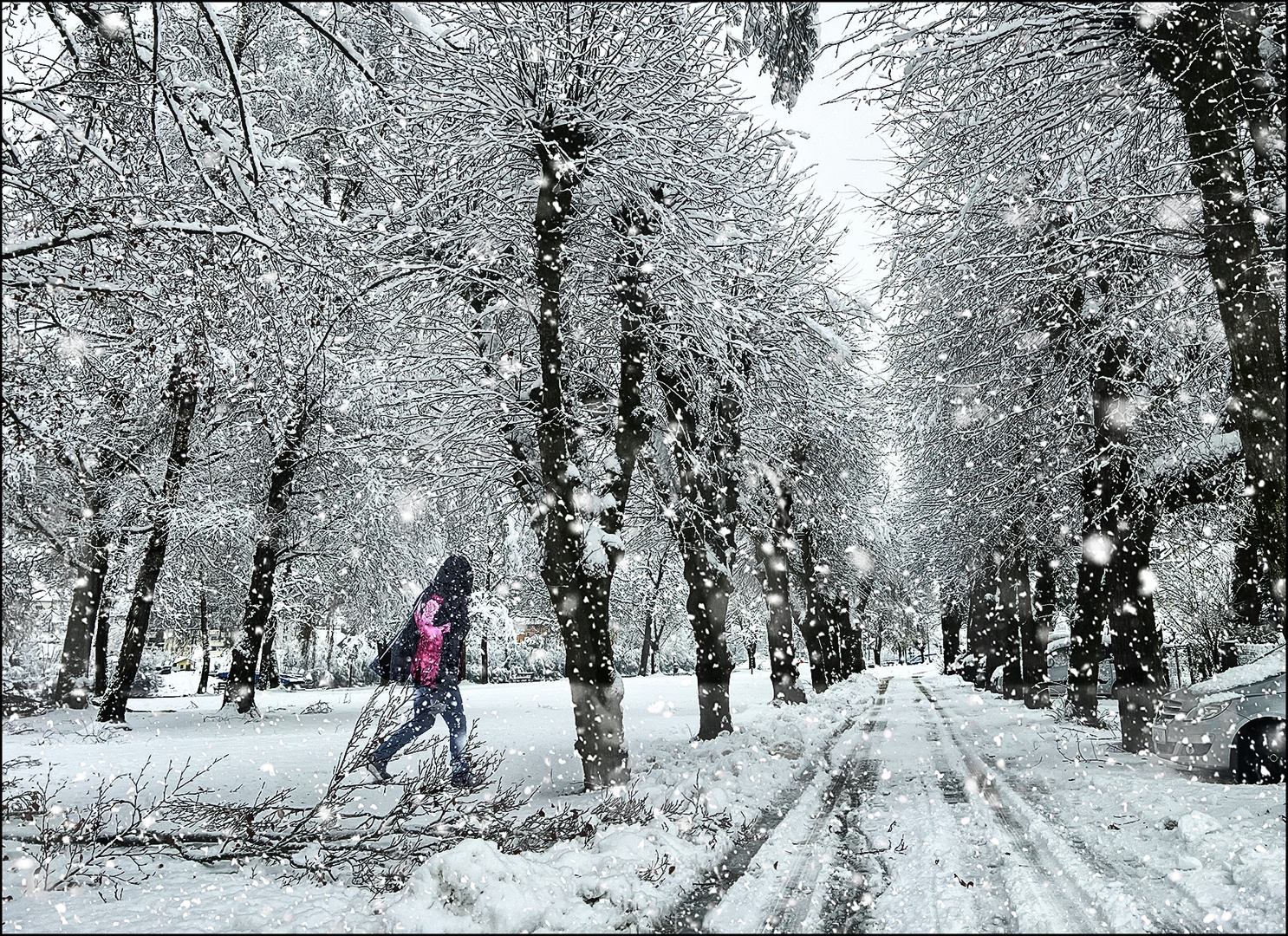 Noch mehr Schnee !