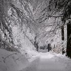 noch mehr Schnee im Odenwald