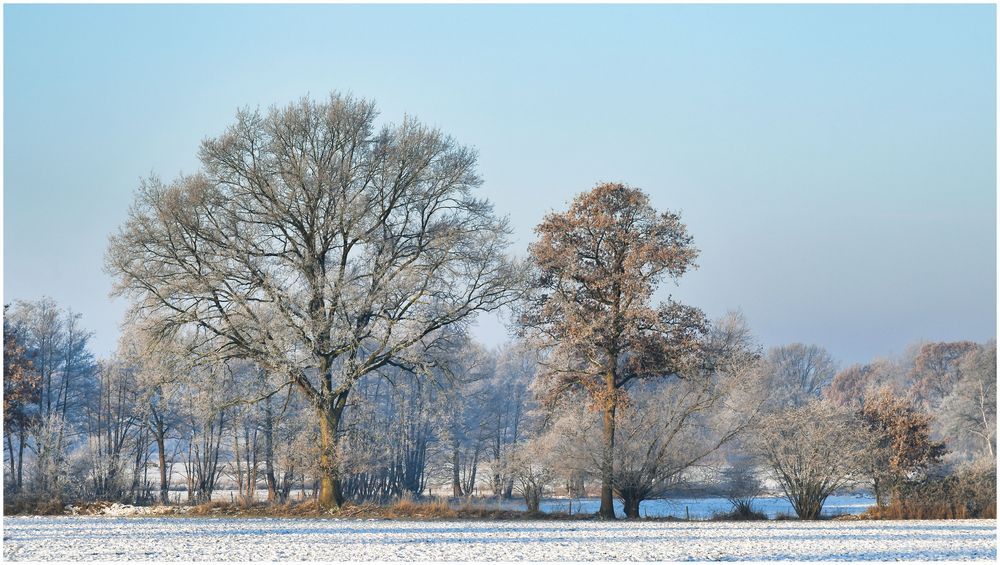 noch mehr Schnee von gestern