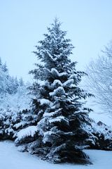 noch mehr Schnee von gestern