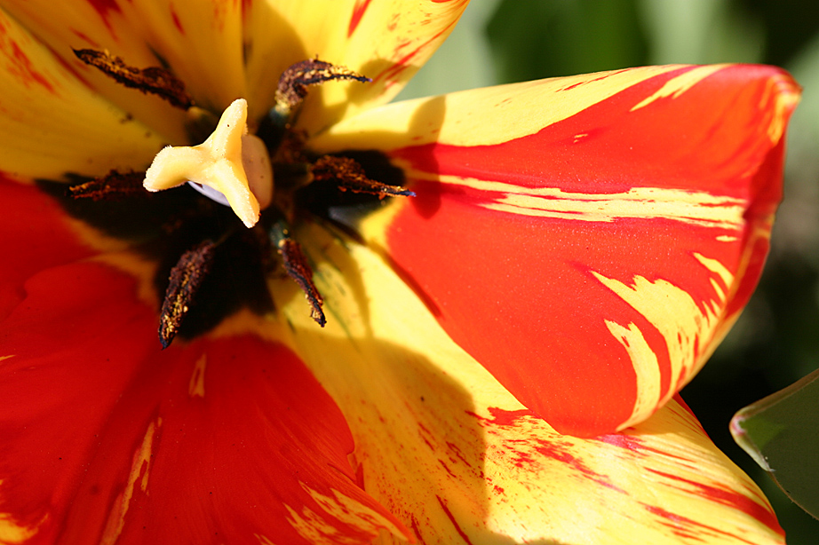 noch mehr Sehnsucht nach Frühling